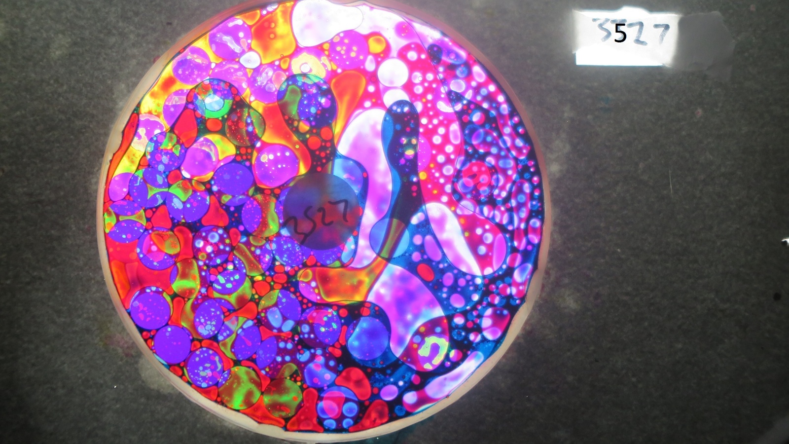 BV3527 bubble vision oil wheel